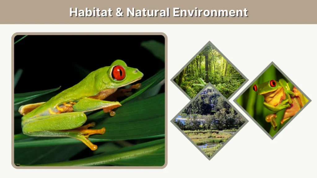 Habitat & Natural Environment