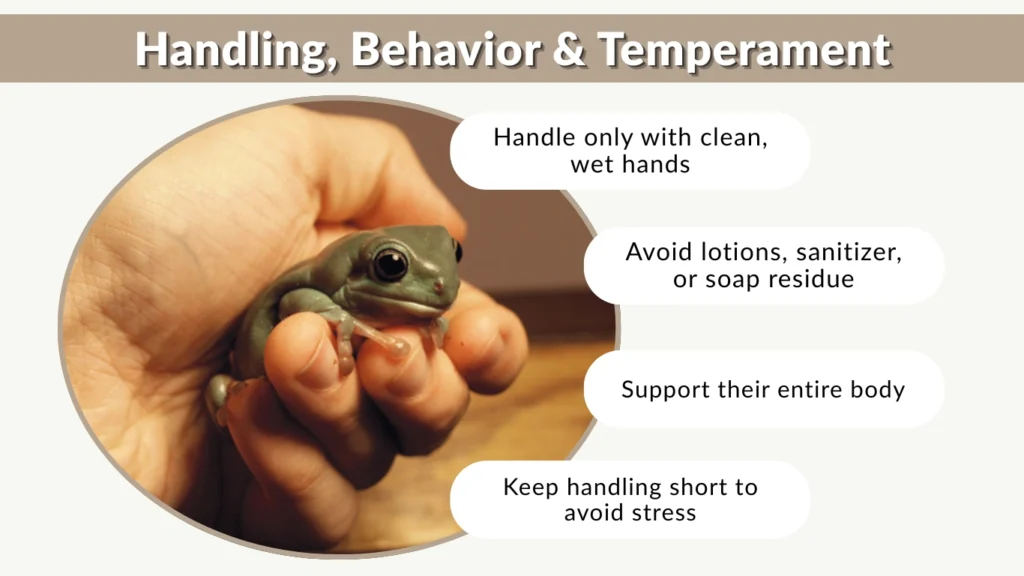Handling, Behavior & Temperament