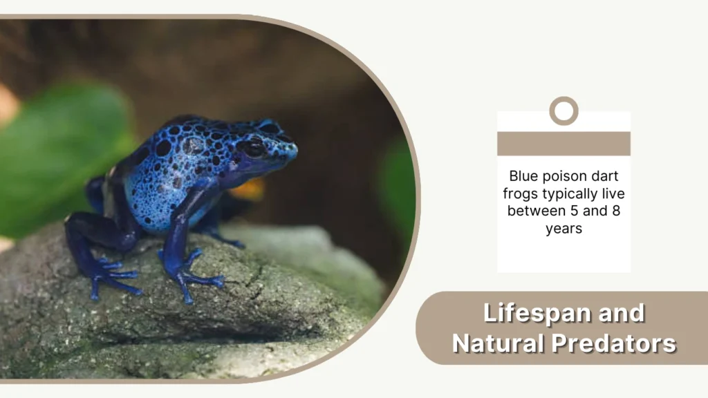 Lifespan and Natural Predators