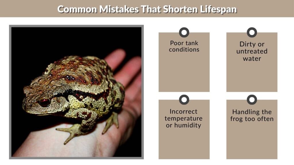 Common Mistakes That Shorten Lifespan