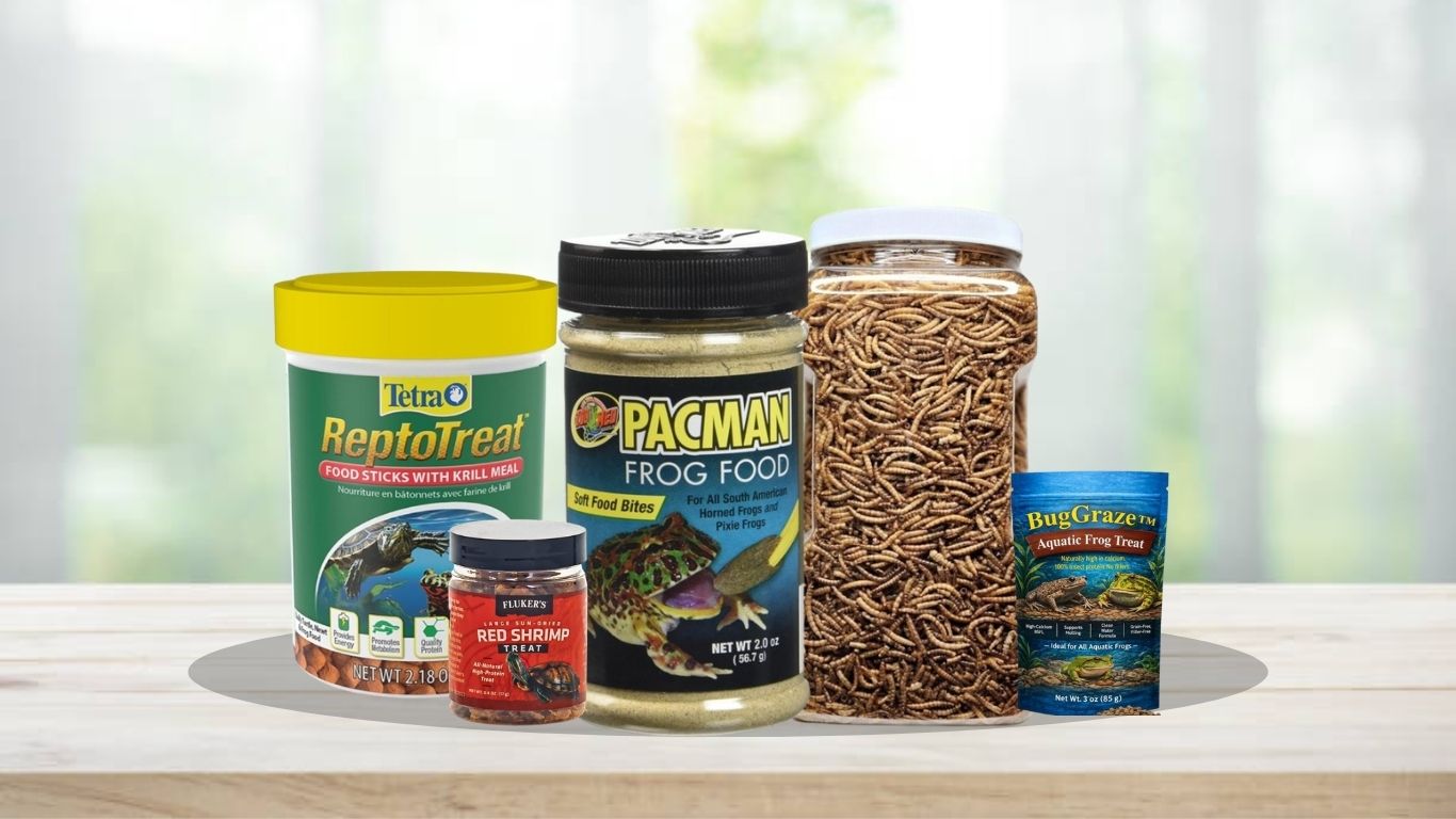 10 Best Aquatic Frog Food for Healthy Growth