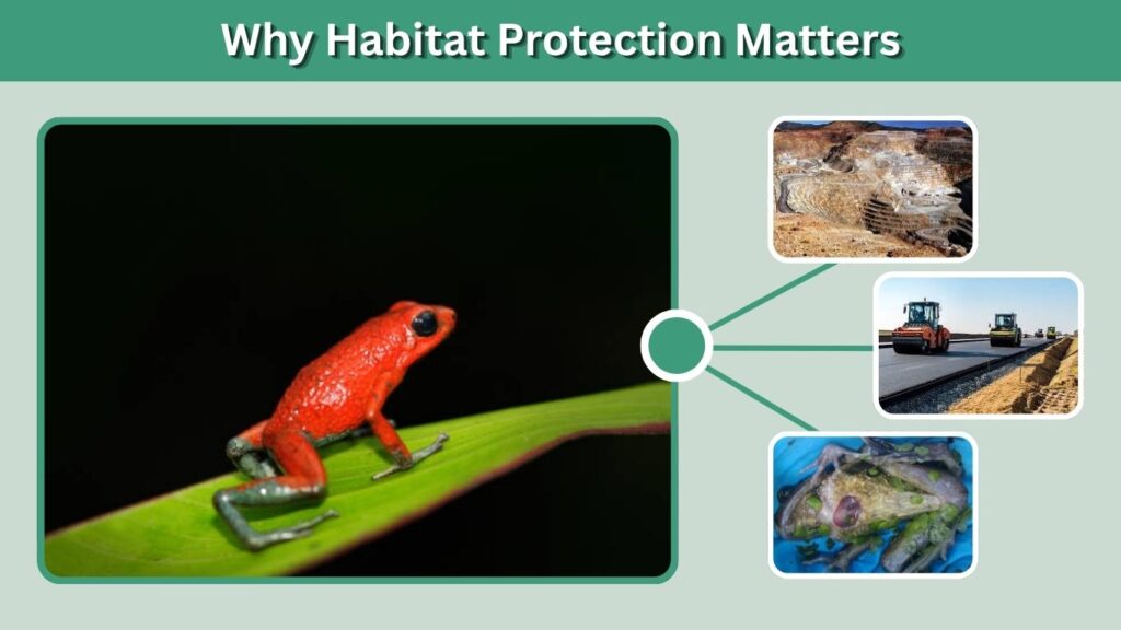 Why Habitat Protection Matters