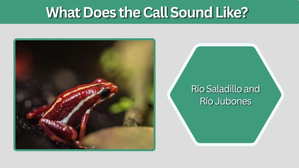 What Does the Call Sound Like?