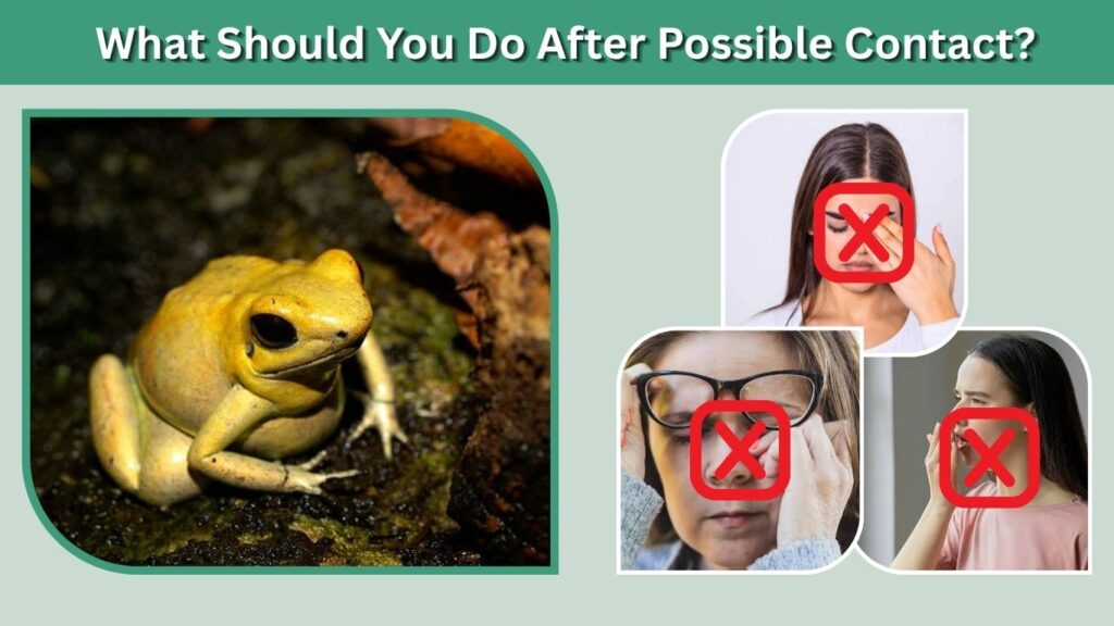 What Should You Do After Possible Contact?