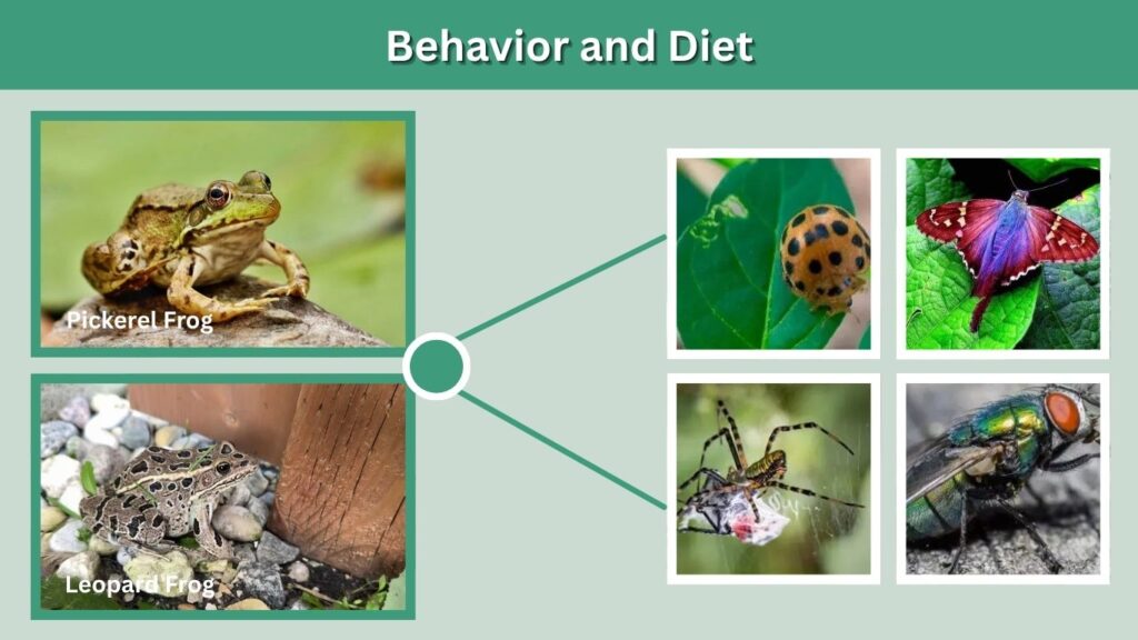 Behavior and Diet