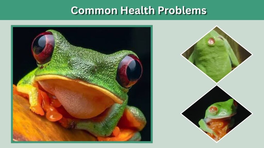 Common Health Problems