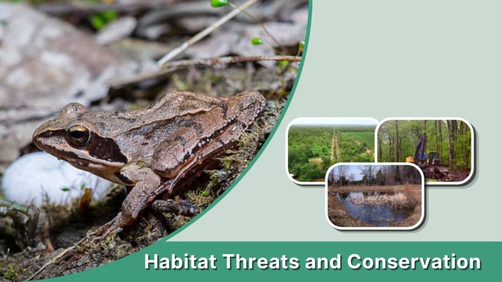 Habitat Threats and Conservation