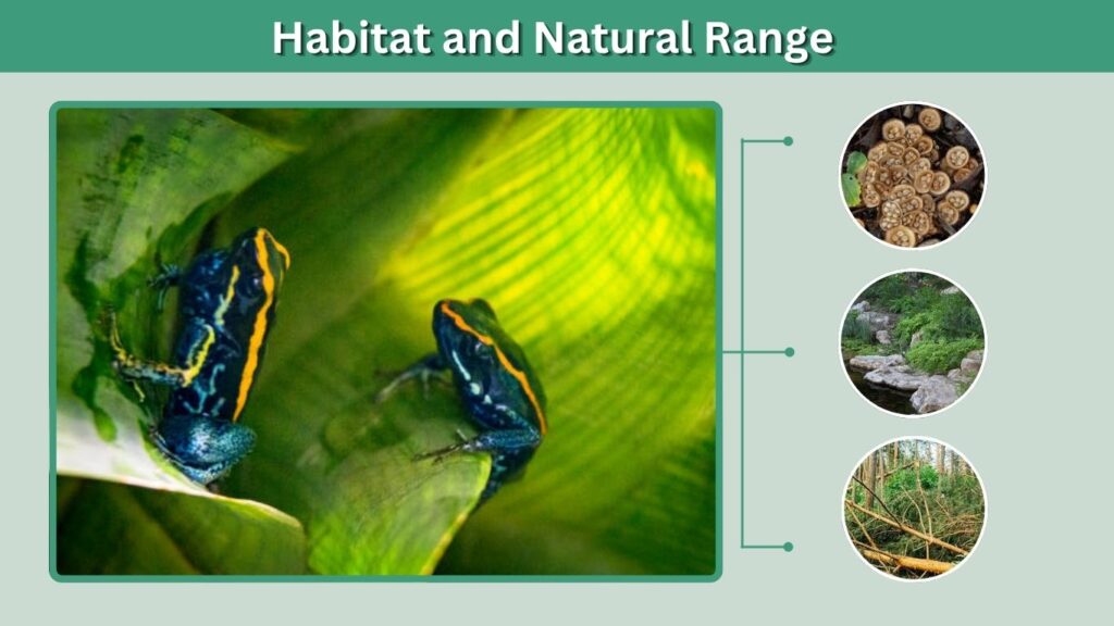 Habitat and Natural Range