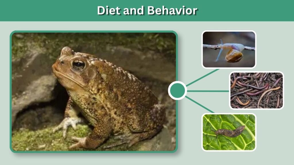 Diet and Behavior