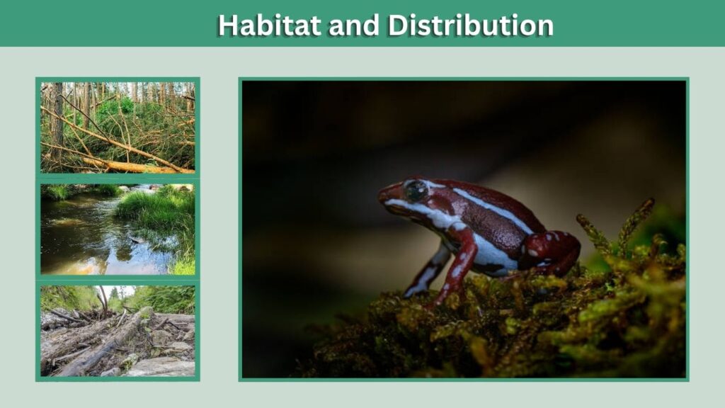 Habitat and Distribution
