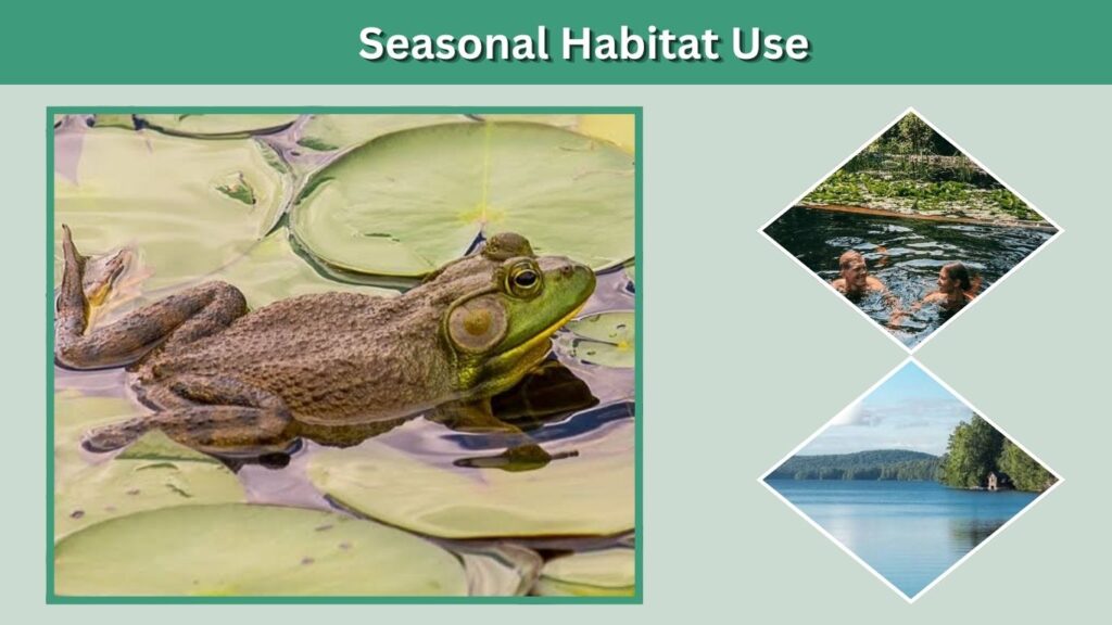 Seasonal Habitat Use