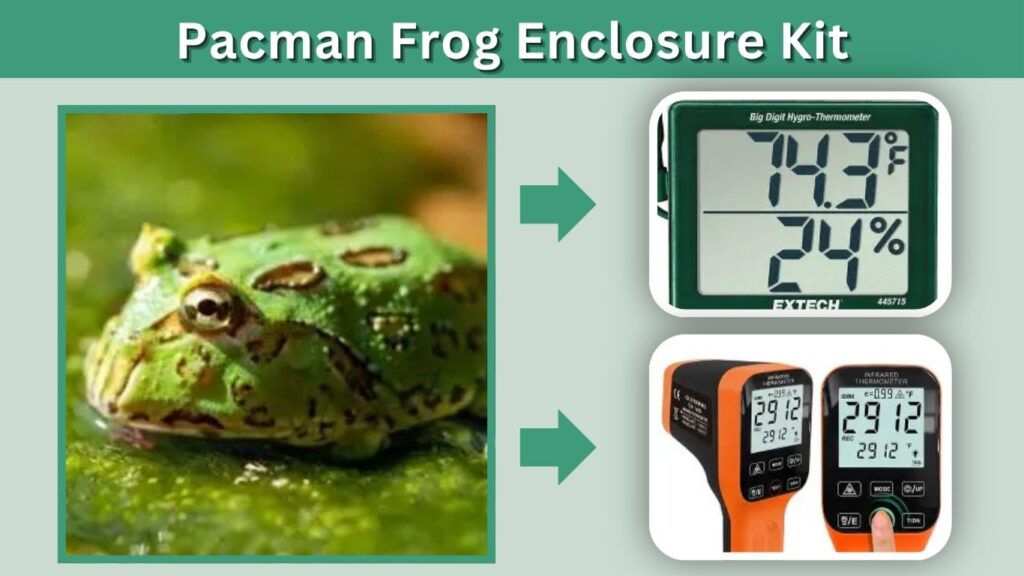 Pacman Frog Enclosure Kit