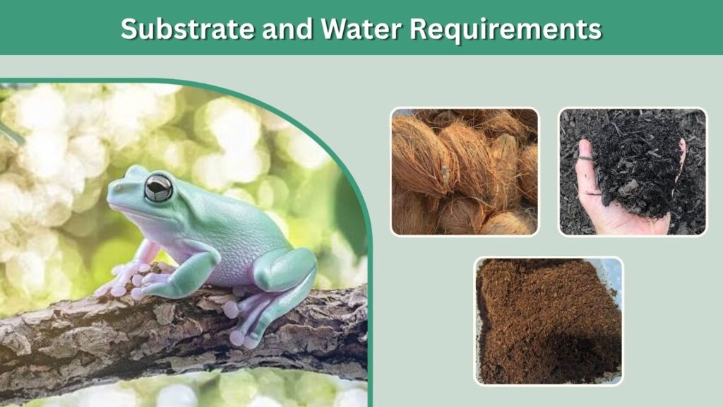 Substrate and Water Requirements