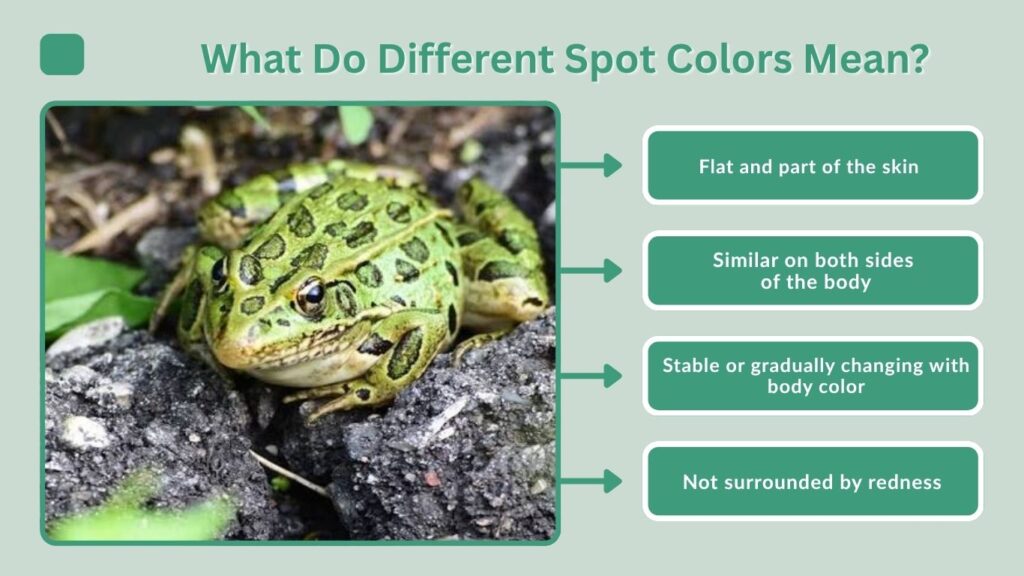 What Do Different Spot Colors Mean?