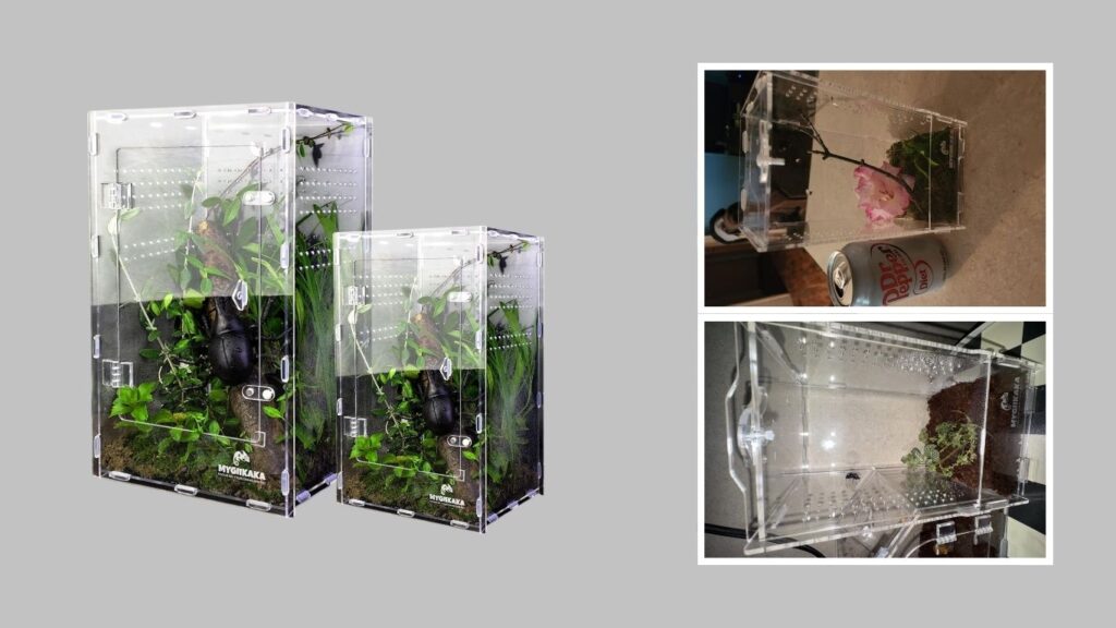 1. MYGIIKAKA Acrylic Jumping Spider Enclosure