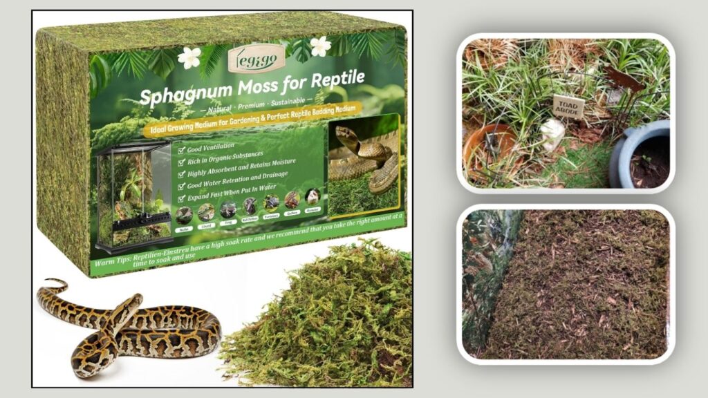 Legigo Sphagnum Moss for Reptile Terrariums