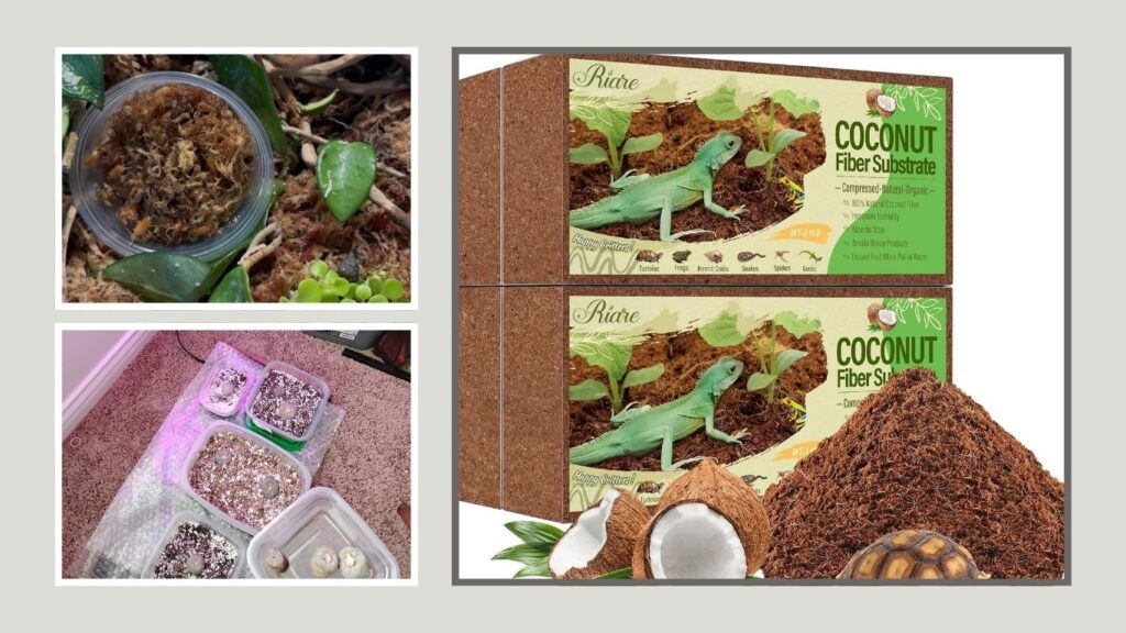 Riare Compressed Coconut Fiber Terrarium Substrate