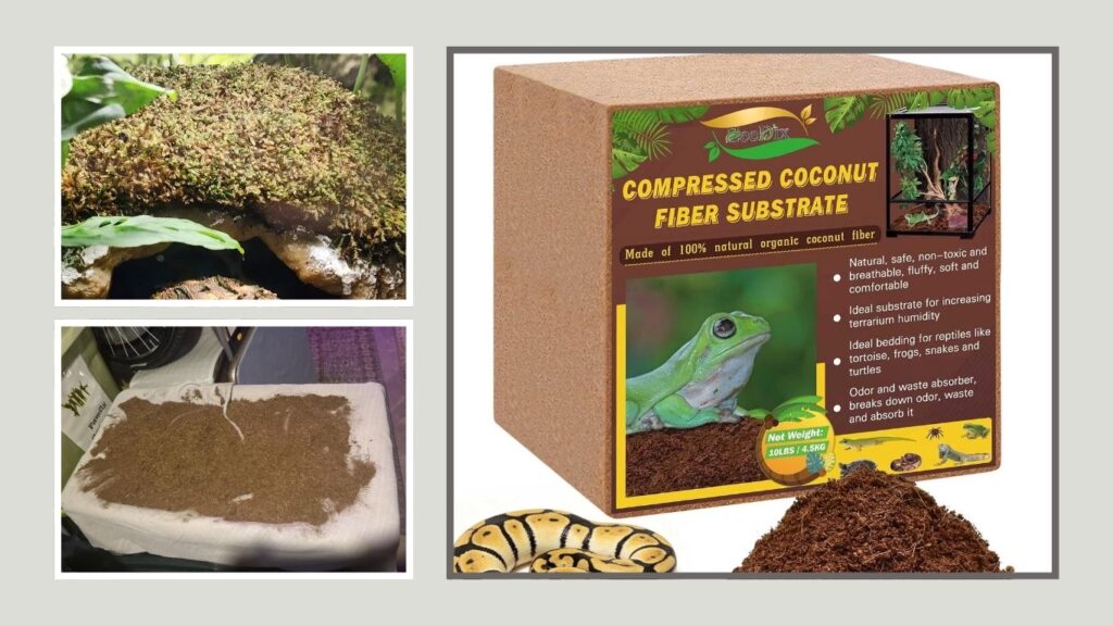 4. ZeeDix Compressed Coconut Fiber Substrate for Reptiles