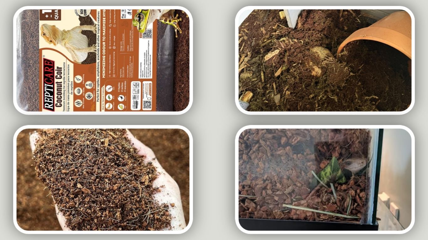 10 Best Coconut Fiber Substrates for Frogs and Terrariums