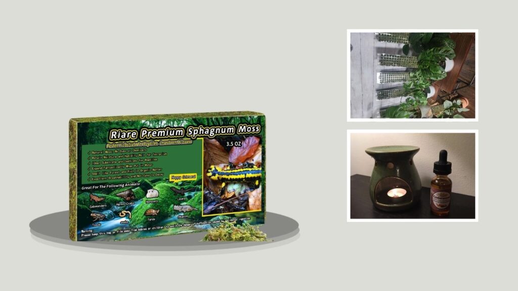 Riare Premium Sphagnum Moss for Terrariums