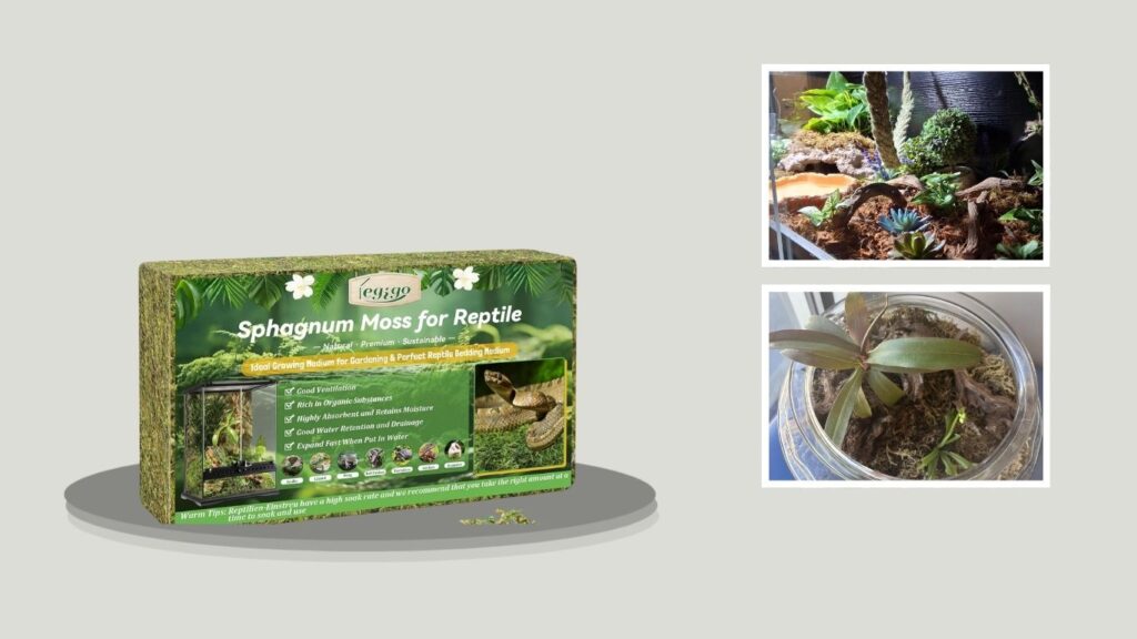 Legigo 14 OZ Sphagnum Moss for Reptiles