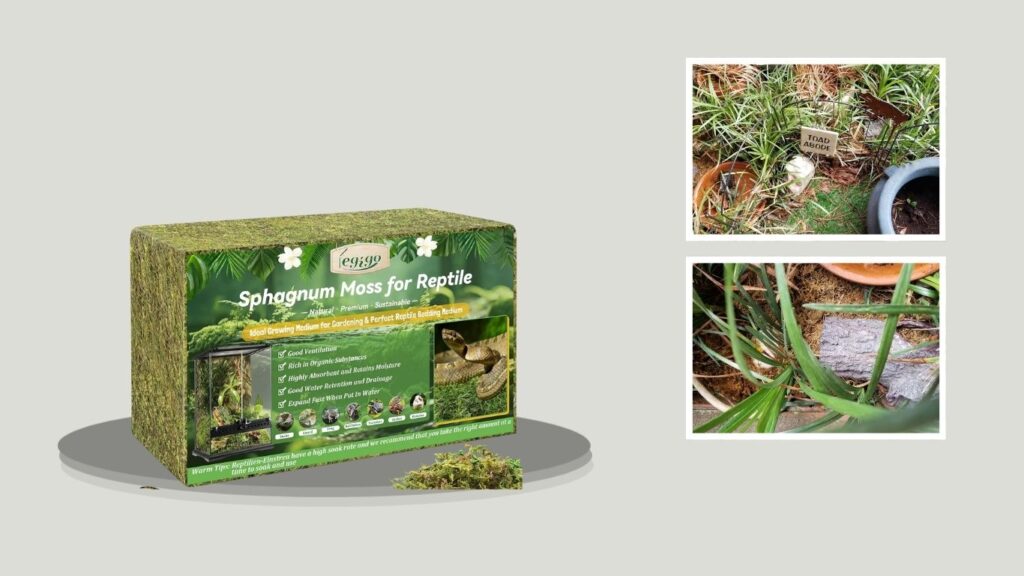 Legigo 2.6 LB Sphagnum Moss for Reptiles