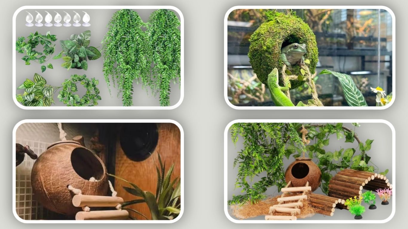6 Best Frog Tank Accessories for a Comfortable and Natural Habitat