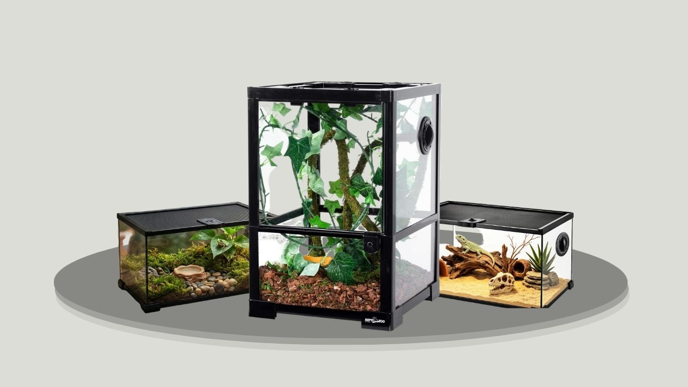 5 Best 10 Gallon Frog Tanks for a Safe and Comfortable Habitat