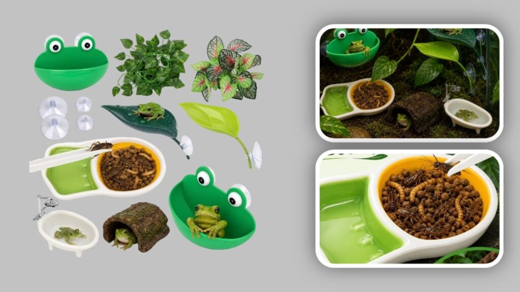 Frog Habitat Accessories Kit with Hammock & Hideout