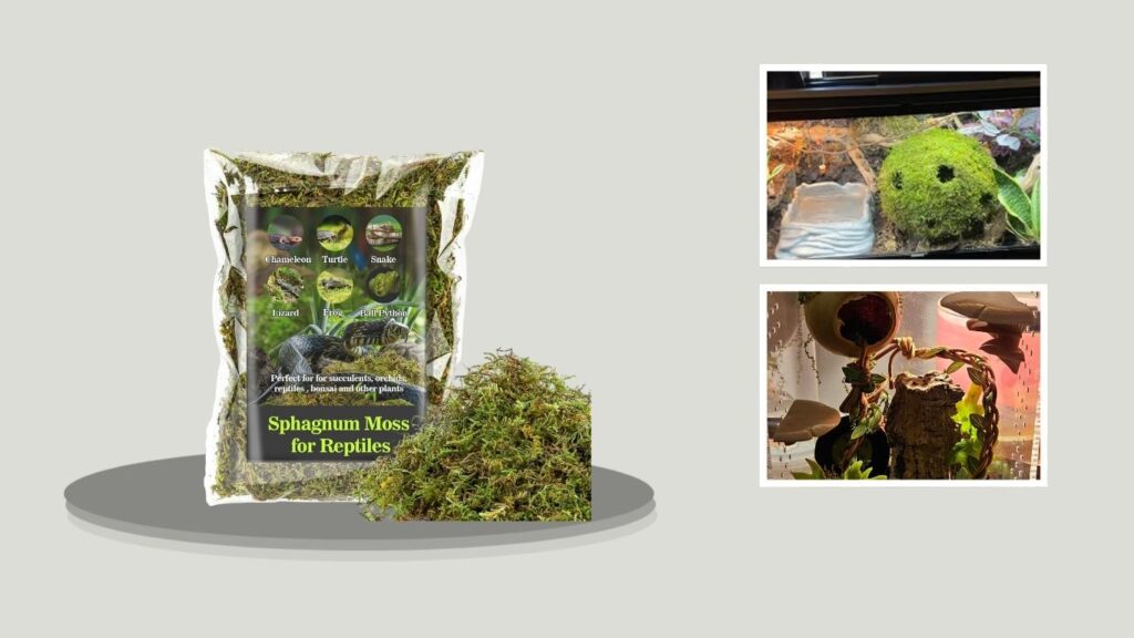 Sukh Sphagnum Moss for Reptiles – 16 oz