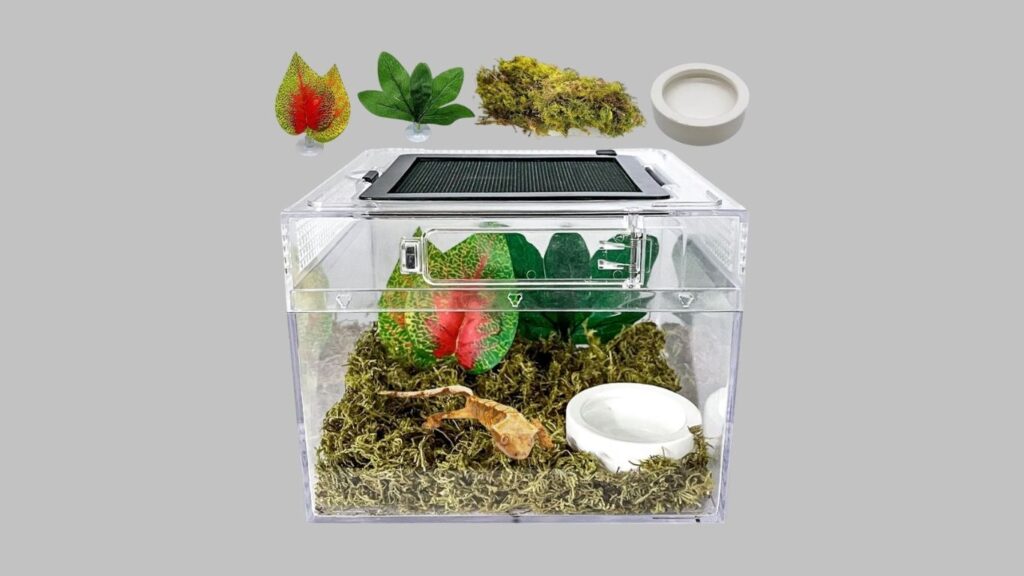 Acsist Frog Terrarium Habitat Enclosure Kit