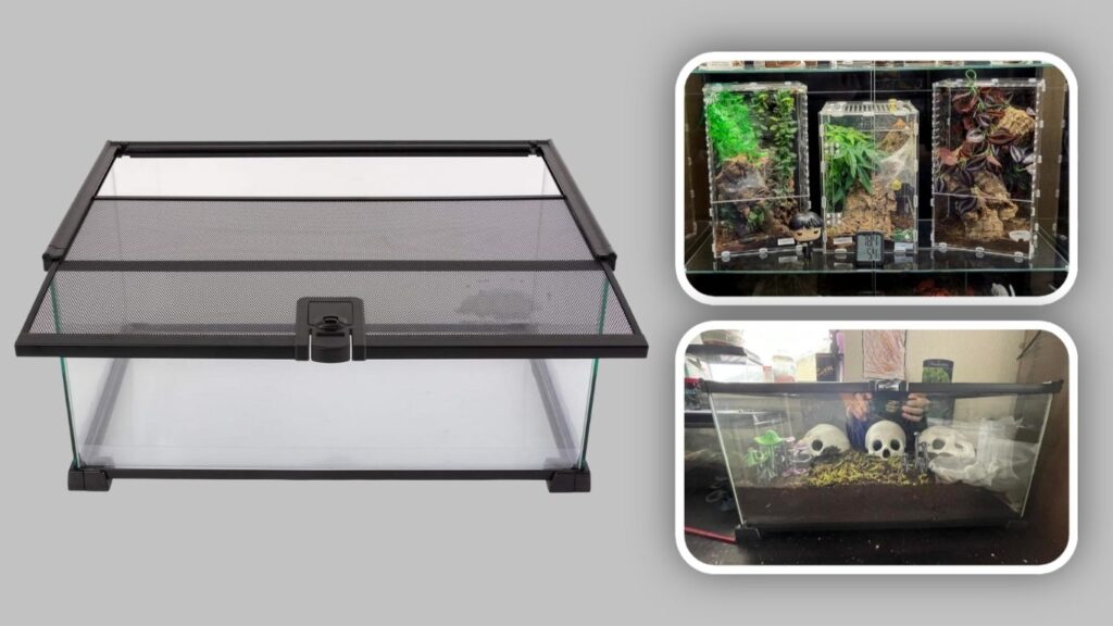 REPTI ZOO 10 Gallon Glass Reptile Terrarium