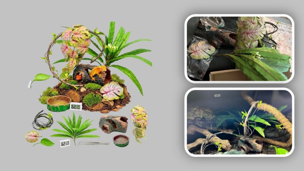 Tree Frog & Crested Gecko Habitat Accessories Kit
