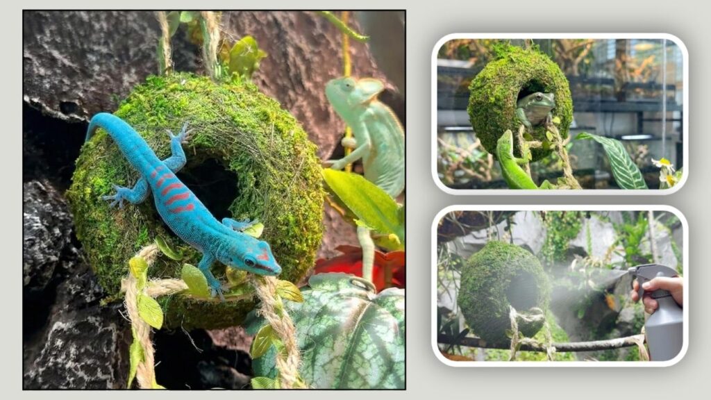 Artificial Handmade Cave Hideout with Hemp Climbing Ladder