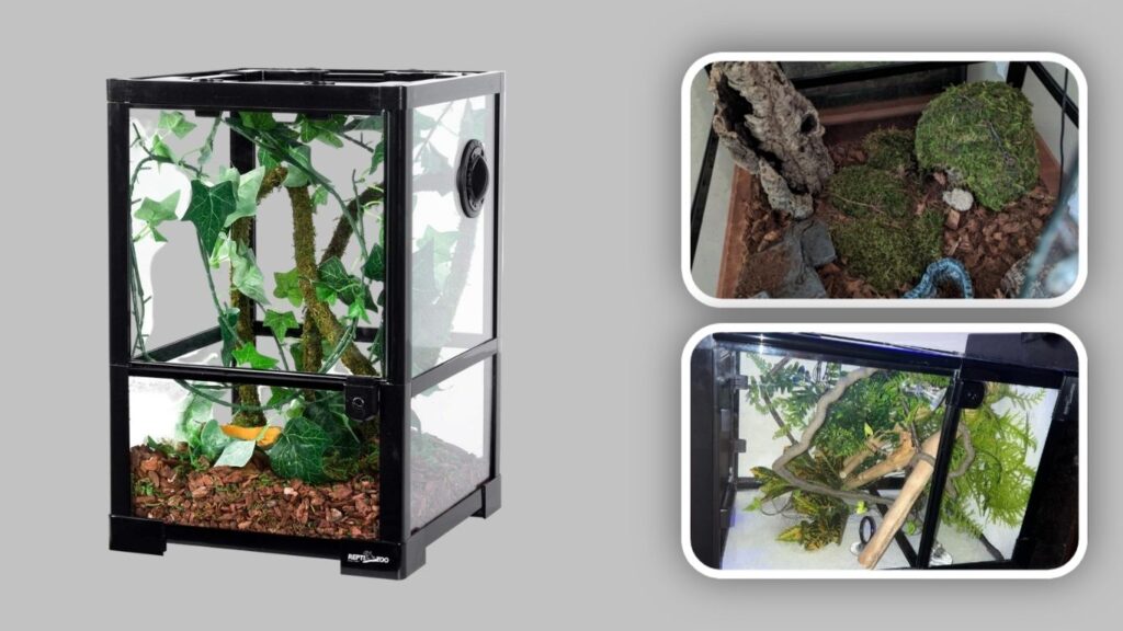 REPTI ZOO 10 Gallon Vertical Amphibian Habitat