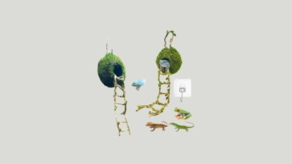 Frog Habitat Kit with Moss Hideout & Climbing Ladder