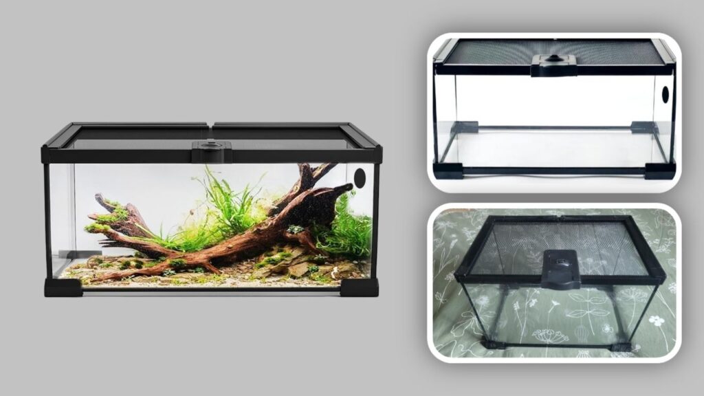 BitMit 10 Gallon Glass Frog Tank