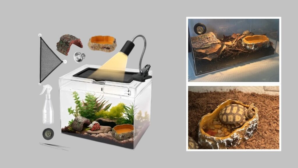 2. AZV Escape-Proof Multi-Vent Terrarium
