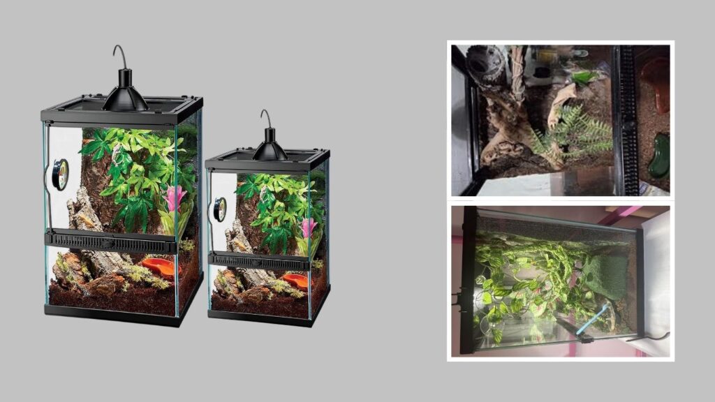 2. Zilla Tropical Vertical Terrarium Starter Kit