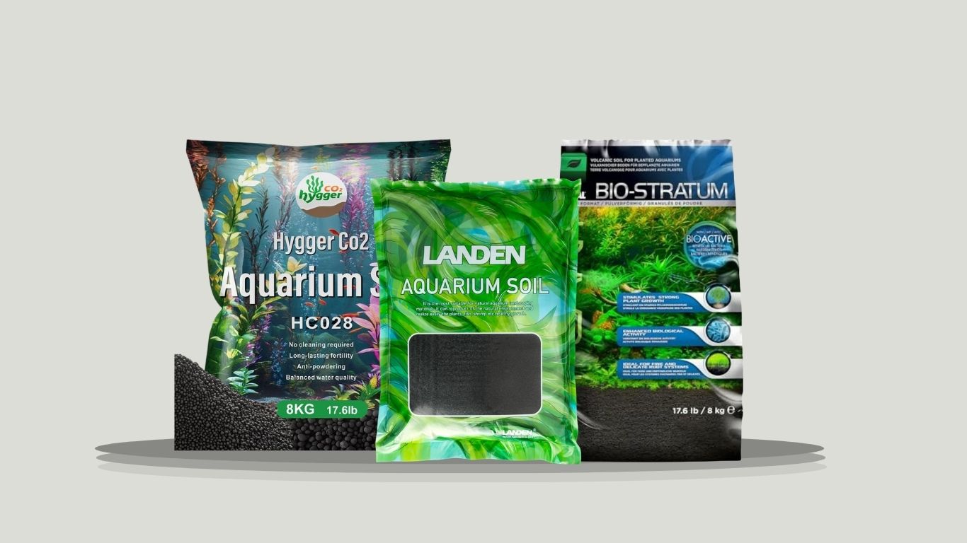 7 Best Fish Tank Plant Substrates for Healthy Growth