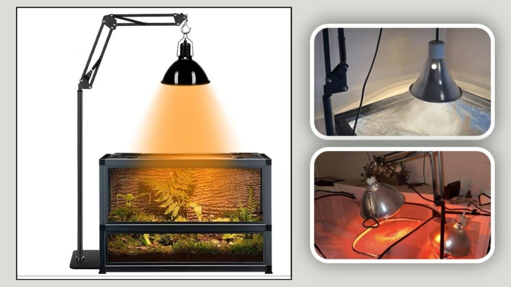 DXOPHIEX Reptile Light Holder Stand