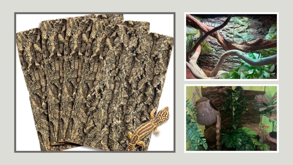 Fhiny Reptile Terrarium Background
