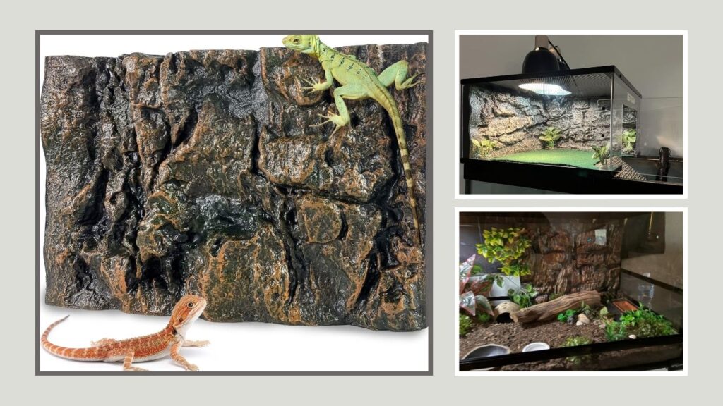 Sysmashing 17.7 x 11.8 Inch Terrarium Background