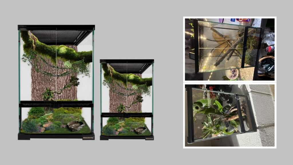 3. waazoorep Vertical Glass Reptile Terrarium