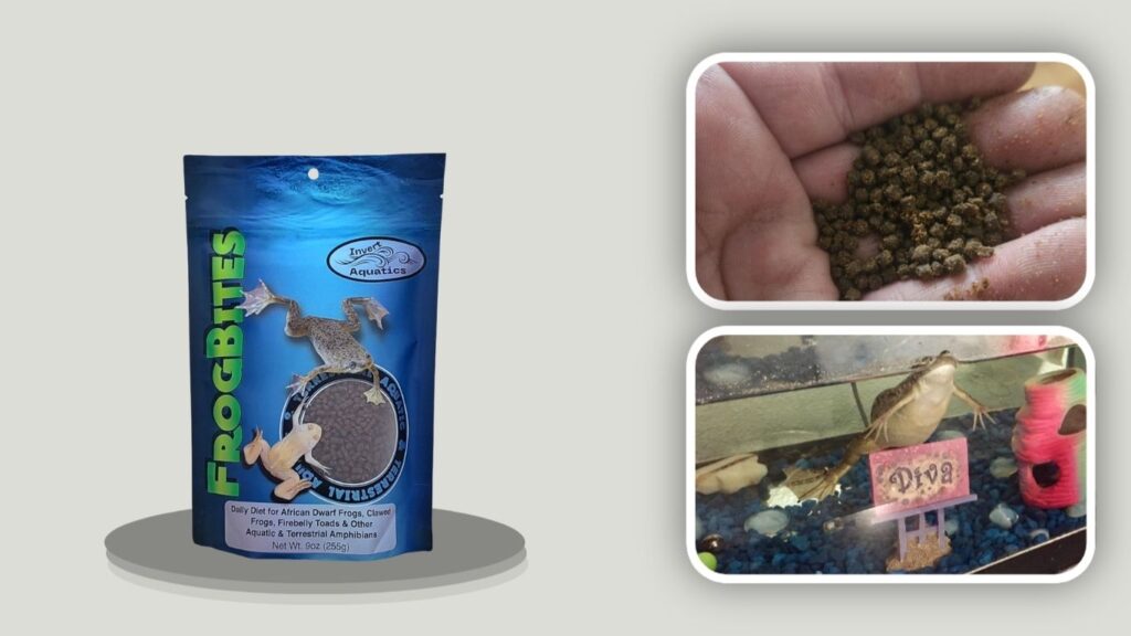  Invert Aquatics Frog Bites for Aquatic Amphibians