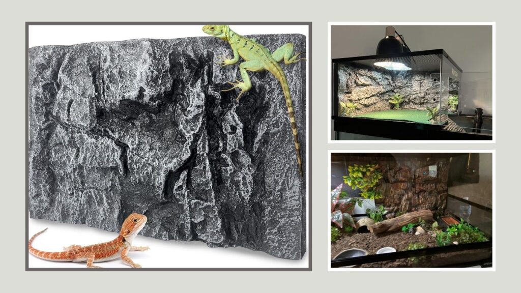 Sysmashing Decorative Terrarium Background