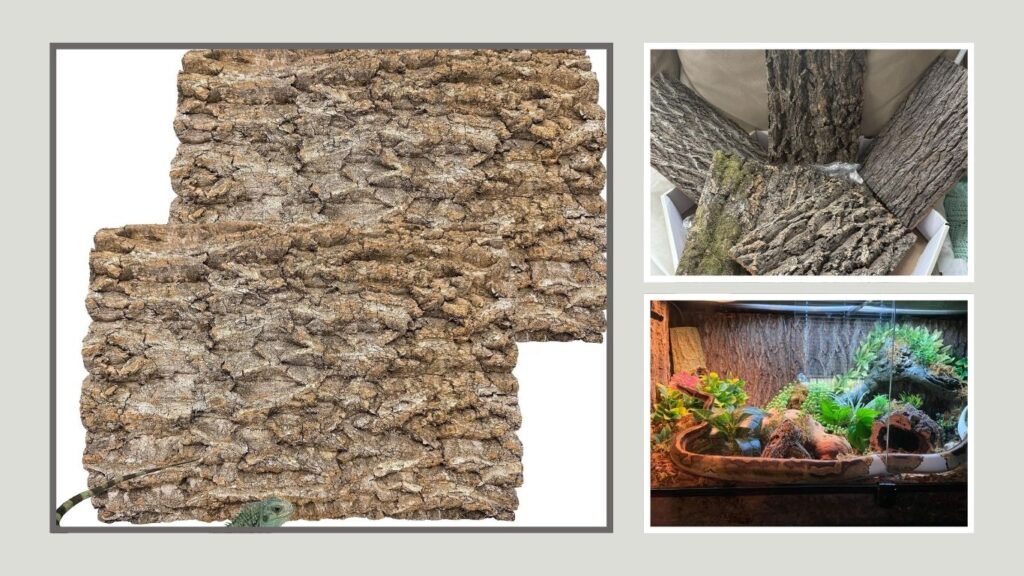 Reptile Climbing Terrarium Background Decoration