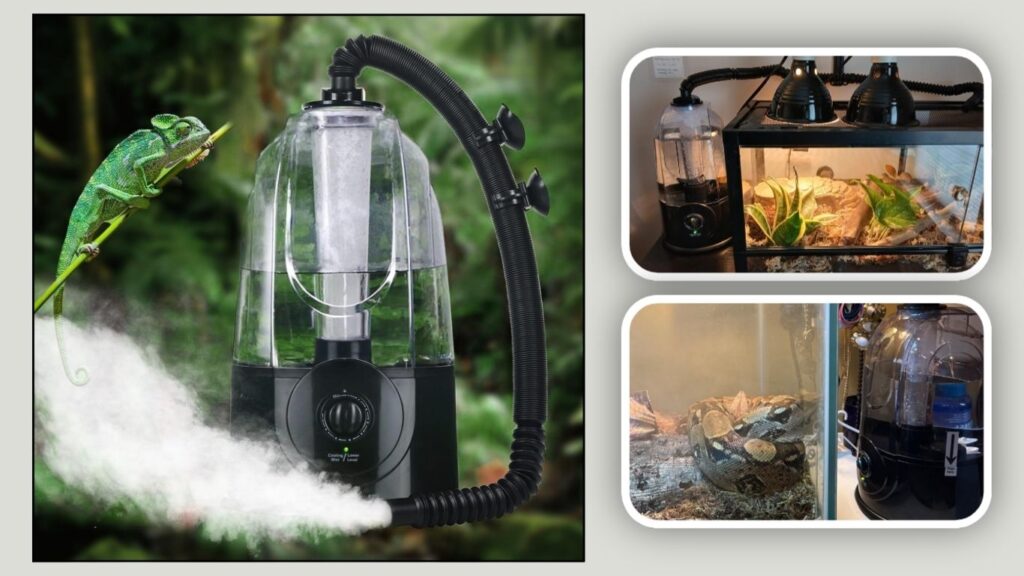 . Coospider Reptile Terrarium Humidifier & Misting System