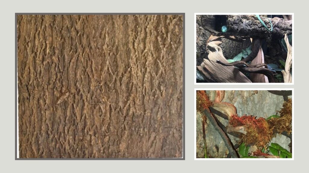 Zoo Med Natural Cork Tile Terrarium Background
