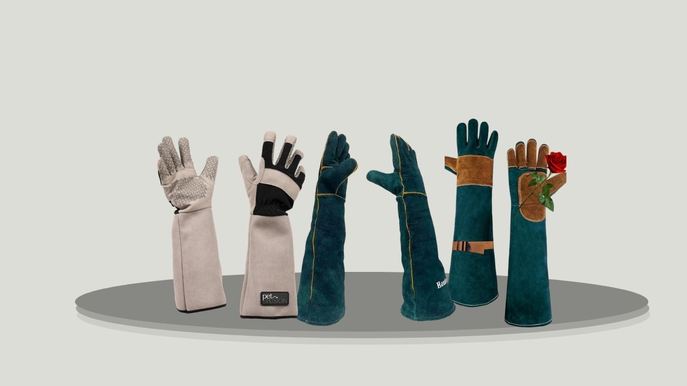 12 Best Animal Handling Gloves for Safe and Secure Handling